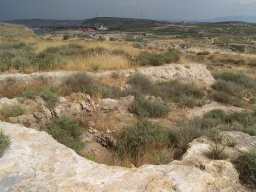 Cerro de la Almagra 2004